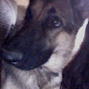 Meet your Posher, Salina